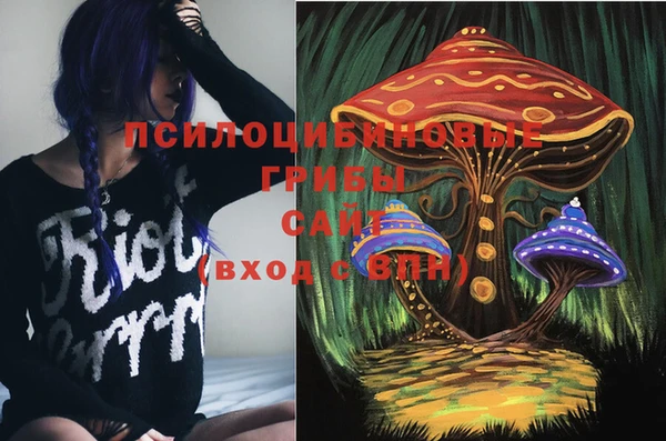 дживик Липки