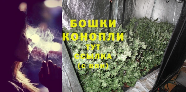 дмт Лиски
