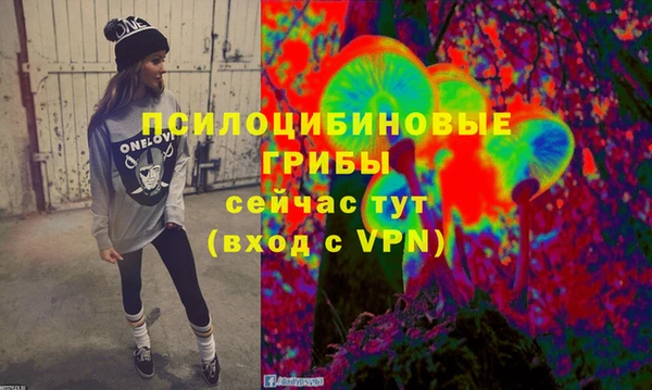 дмт Лиски