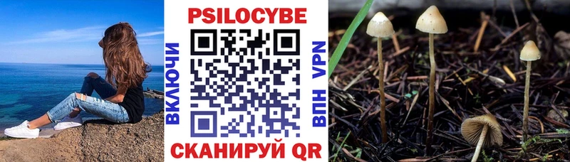 Купить закладки  Емва  Псилоцибиновые грибы Cubensis 